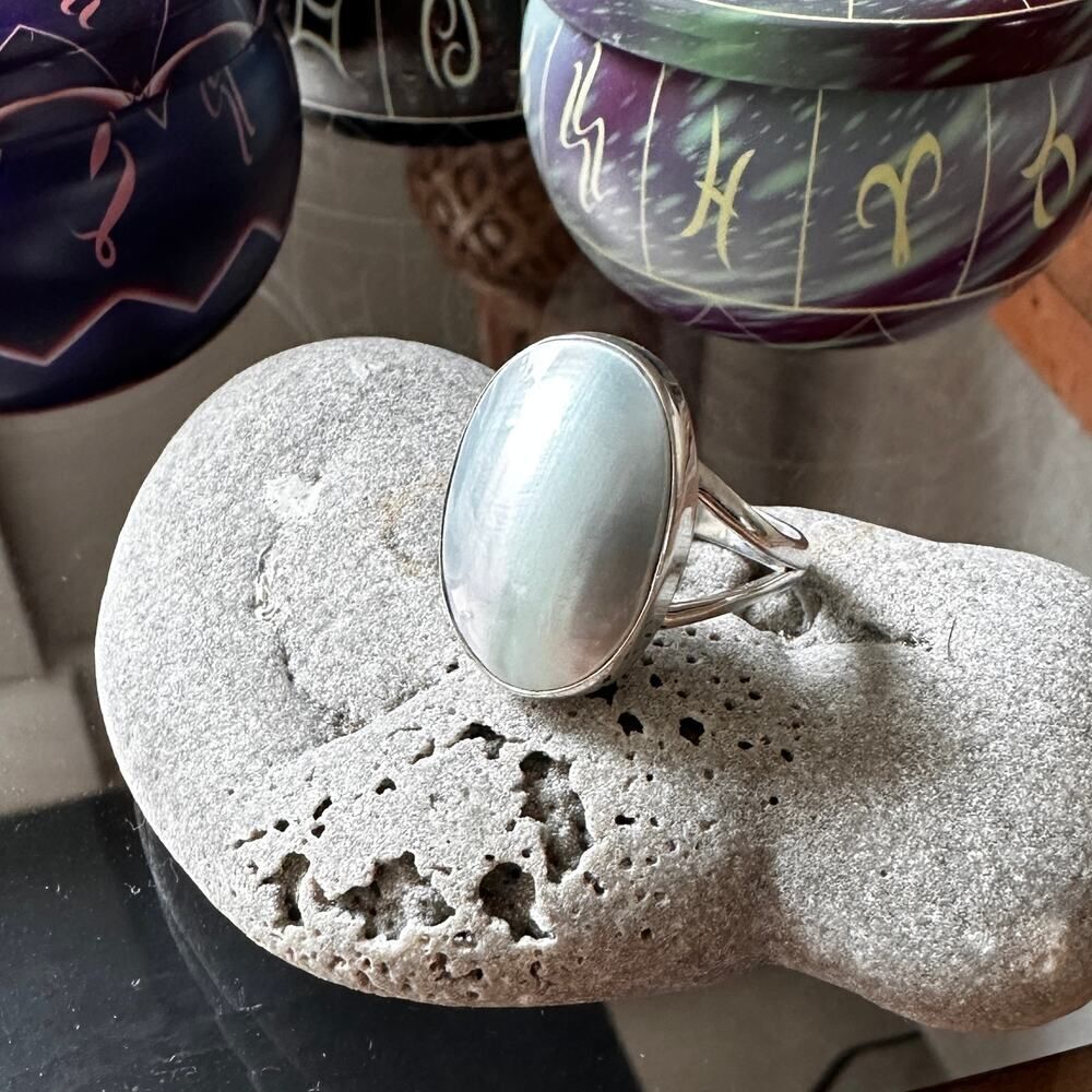 Natural Nautilus Sea Shell Sterling Silver Ring Size 10.5